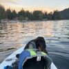 jessie_divito